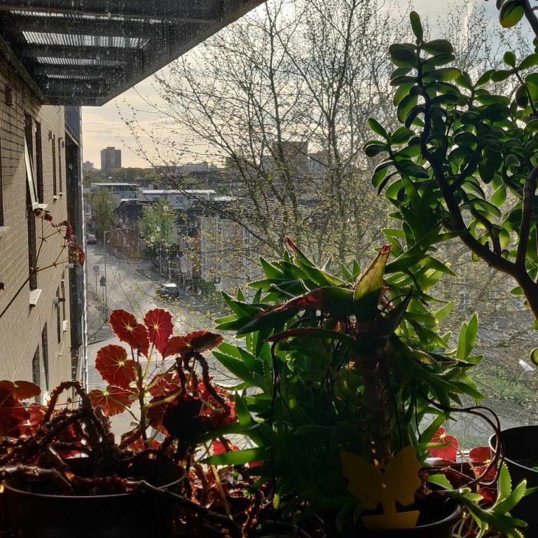 view from window